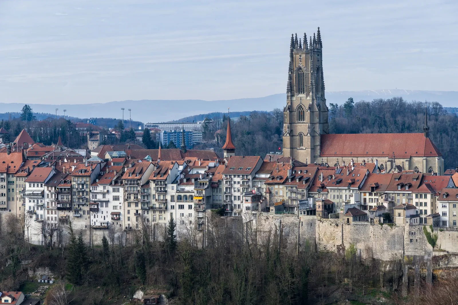 Stadtansicht von Freiburg – Medizinstudium in Freiburg