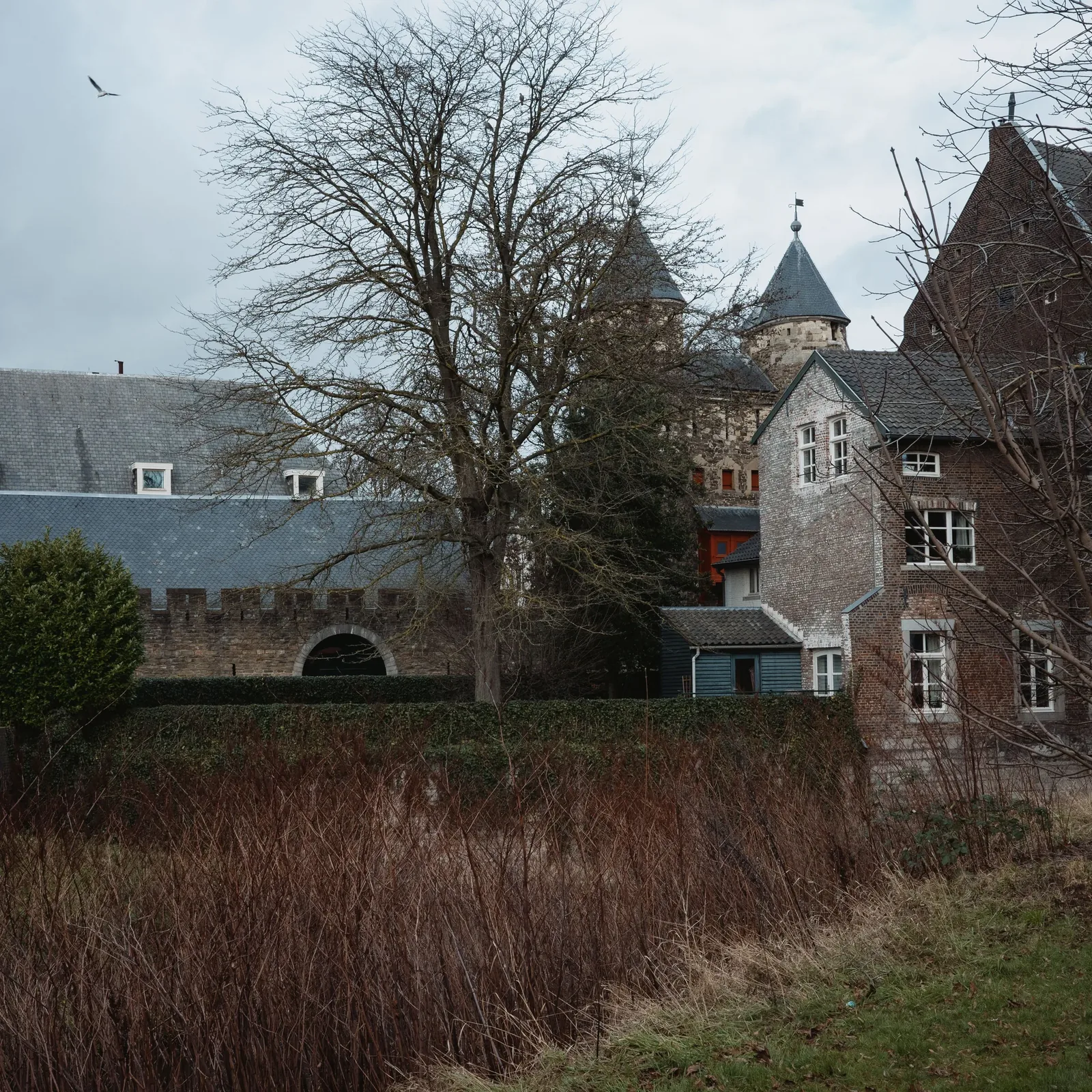Stadtansicht von Maastricht – Medizinstudium in Maastricht