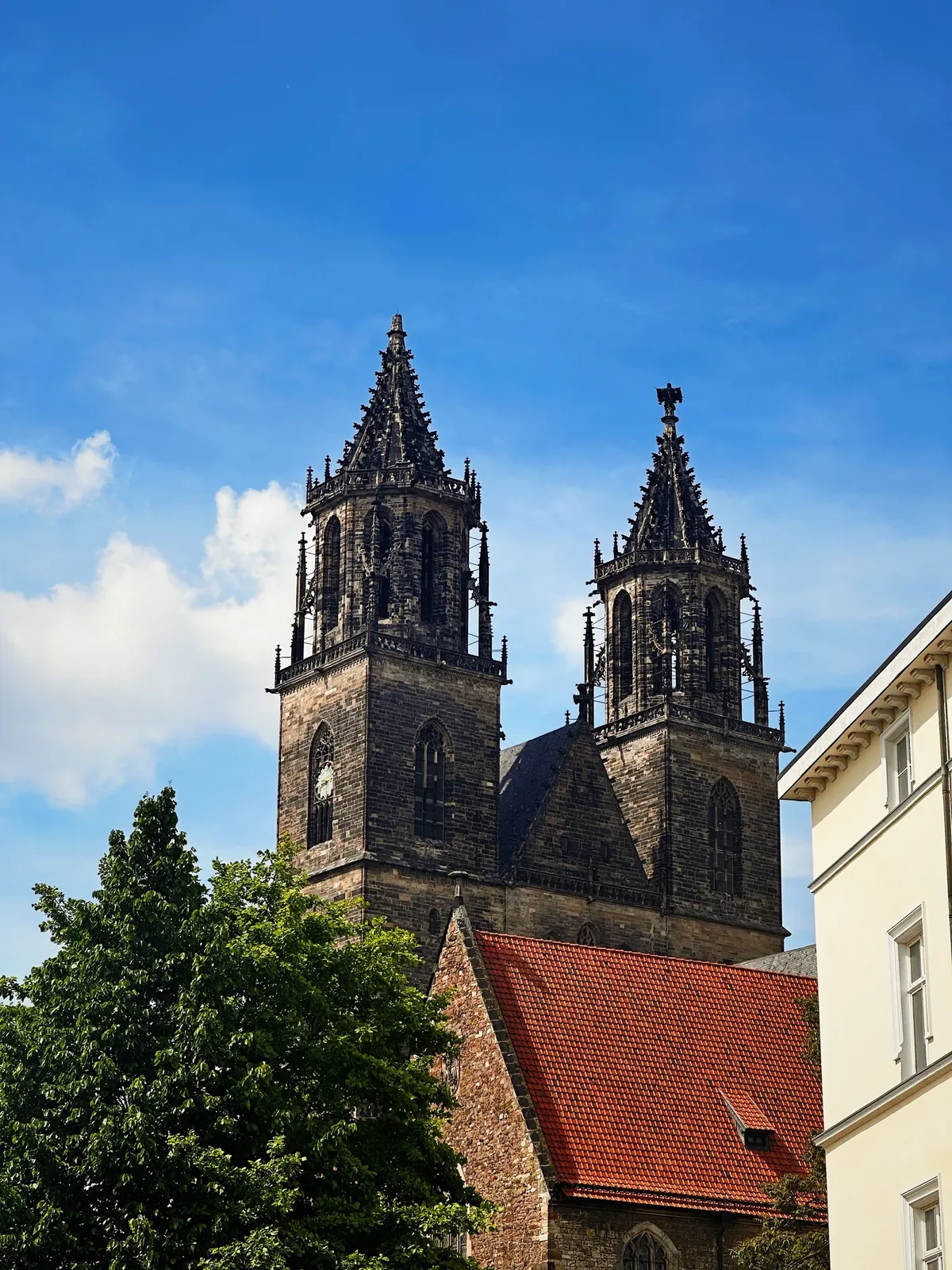 Stadtansicht von Magdeburg – Medizinstudium in Magdeburg