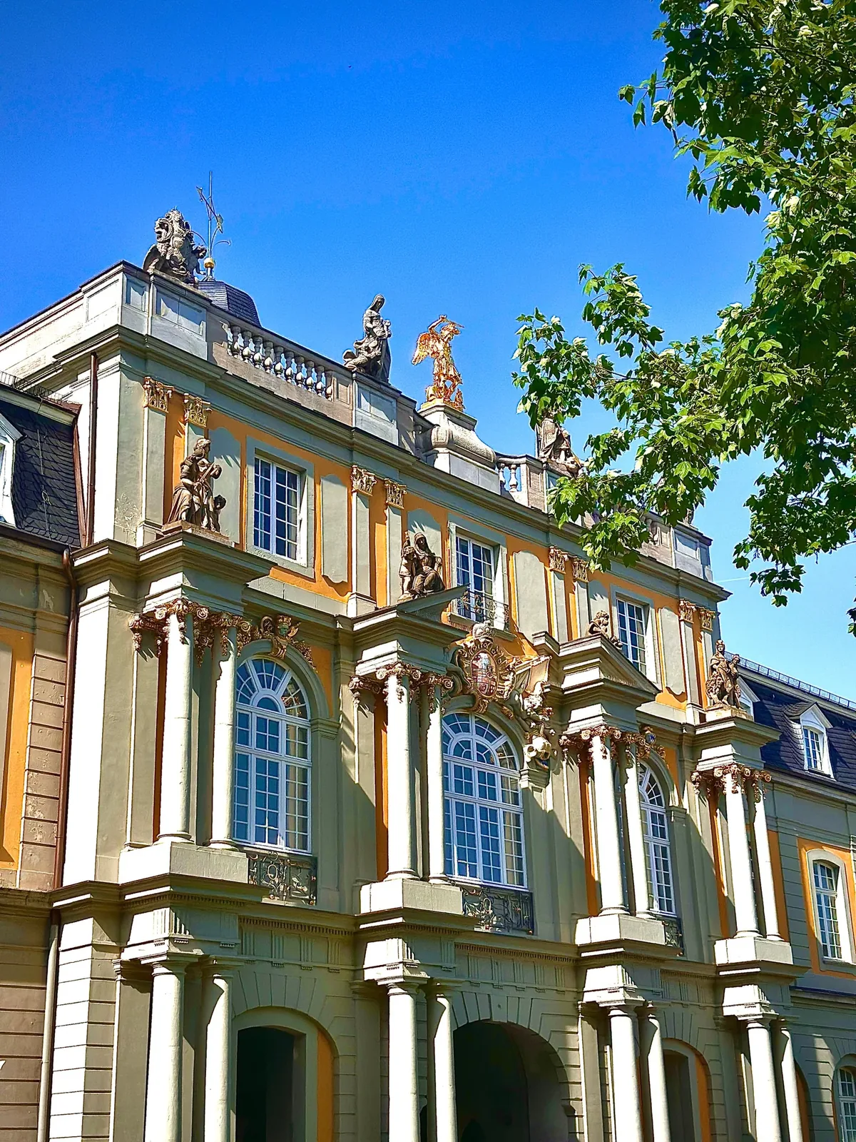Stadtansicht von Bonn – Medizinstudium in Bonn